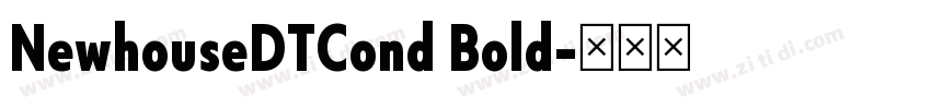 NewhouseDTCond Bold字体转换 NewhouseDTCond Bold字体转换